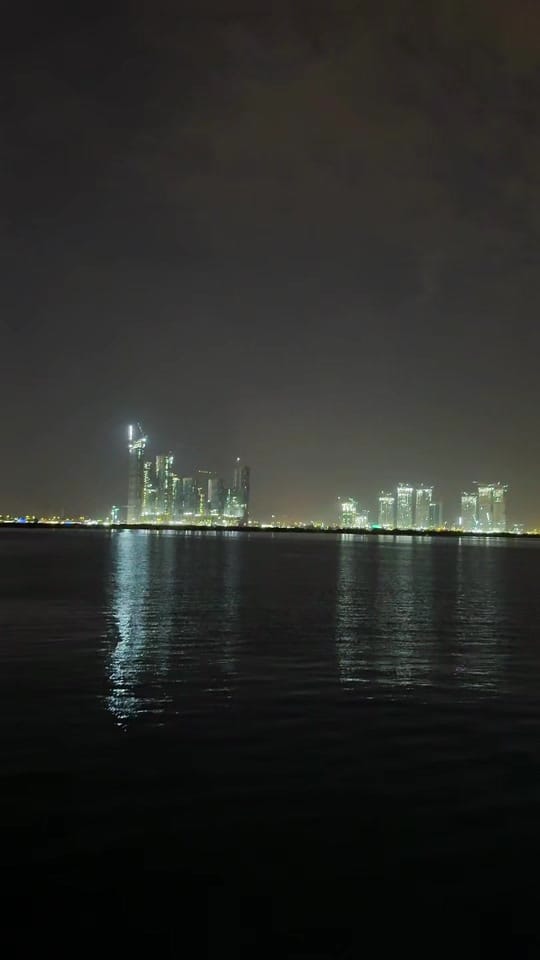 Post 4 by Fizza Salah on TikTok (video)