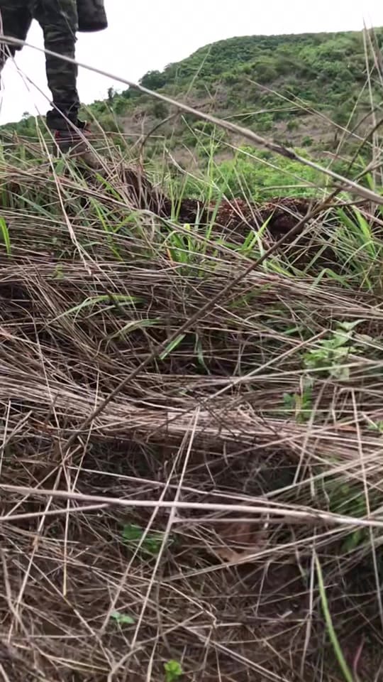 Post 4 by Sagurafeeq on TikTok (video)