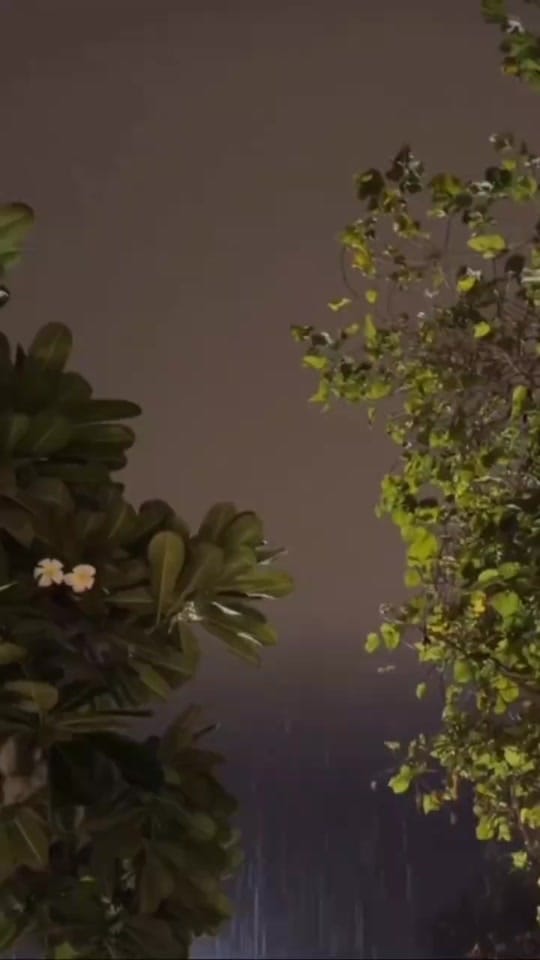 Post 2 by ABDULRAHMAN AJOUZ on TikTok (video)