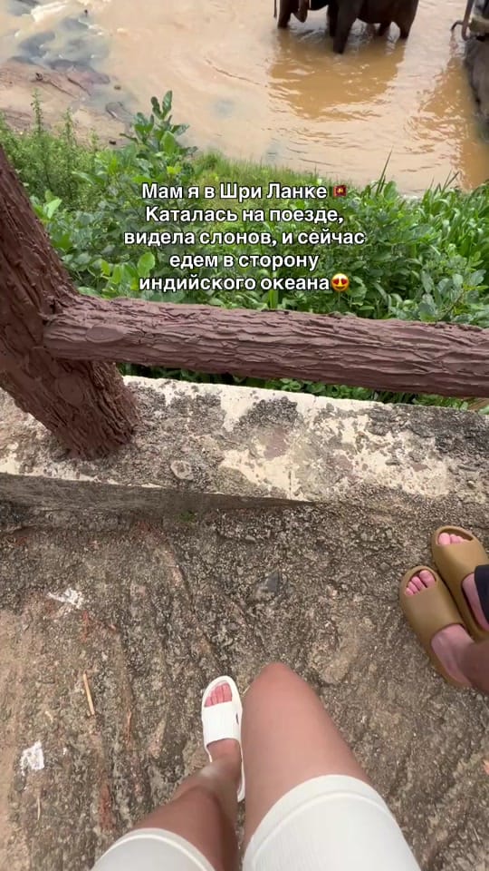 Post 7 by Molly Tem on TikTok (video)