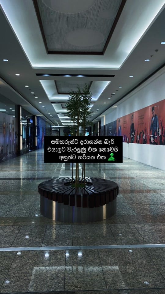 Post 7 by Dil’sCovery|Travel & Lifestyle on TikTok (video)