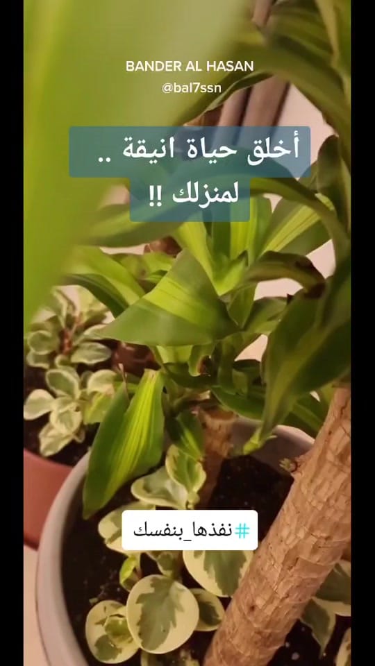 Post 9 by Bander Alhasan on TikTok (video)