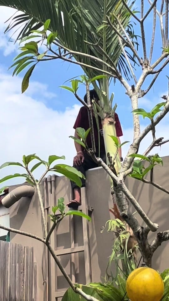 Post 6 by Mahesa Putra on TikTok (video)