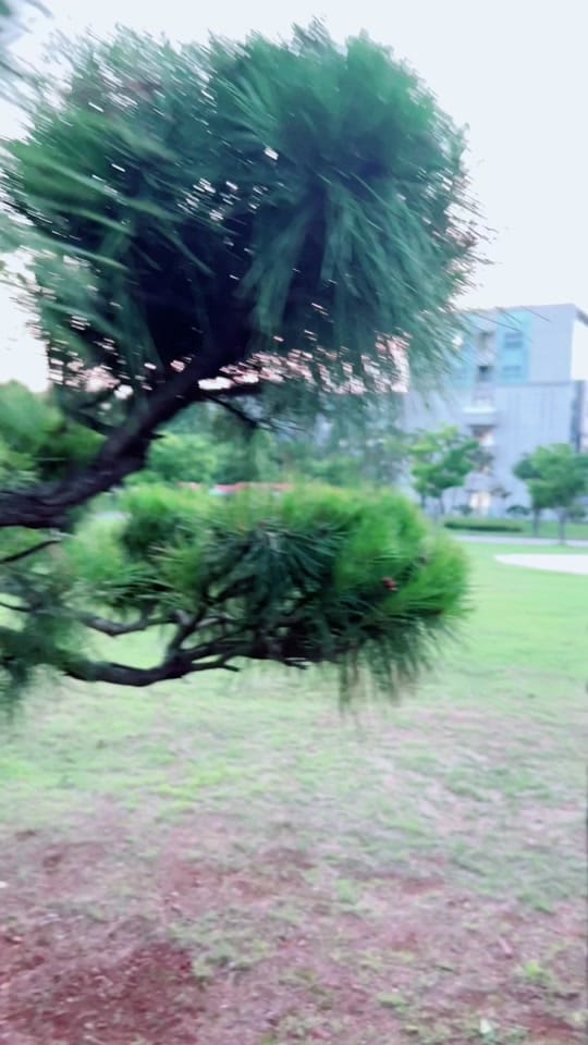 Post 10 by Fahad khan Yousafzai 🇰🇷 on TikTok (video)