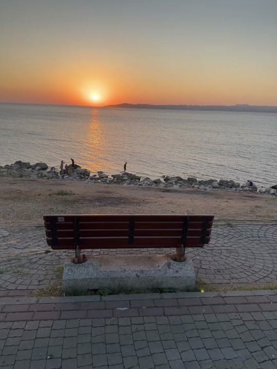 Post 6 by MHNA on TikTok (video)
