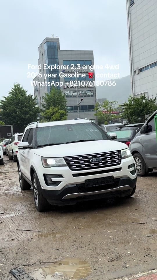 Post 9 by SULTAN EXPORT Co, LTD on TikTok (video)