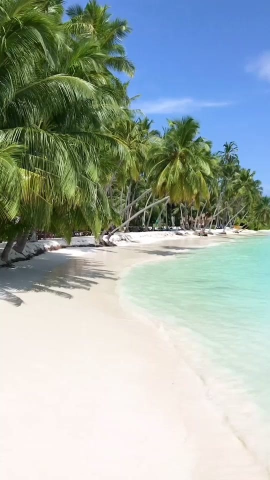 Post 6 by wandergates on TikTok (video)