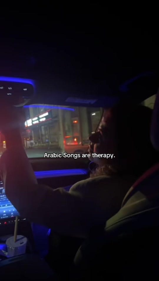 Post 9 by Dubai.life993 on TikTok (video)