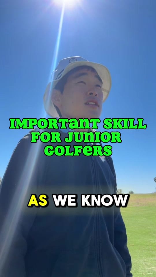 Post 4 by golfinasia on TikTok (video)