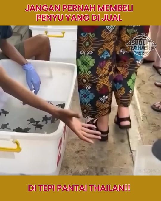 Post 9 by Sudut Rahasia on TikTok (video)