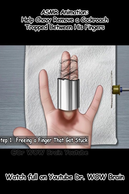 Post 2 by Seoul ASMR on TikTok (video)