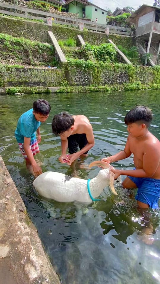 Post 5 by GARUT VIBES on TikTok (video)