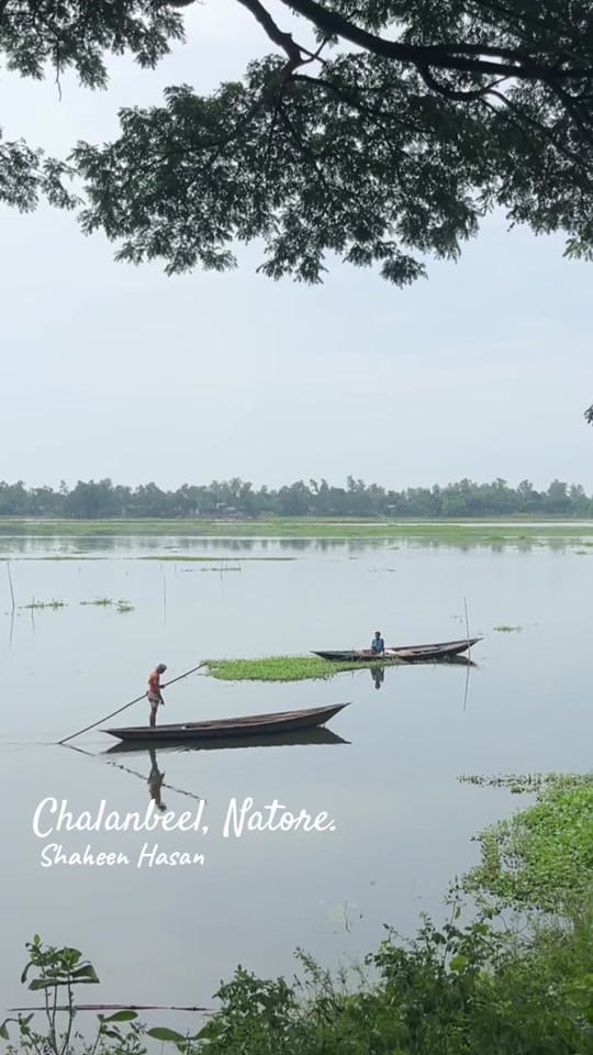 Post 4 by SHAHEEN HASAN on TikTok (video)