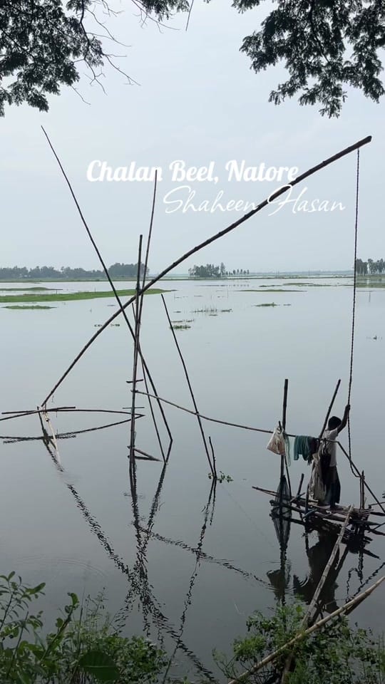 Post 5 by SHAHEEN HASAN on TikTok (video)