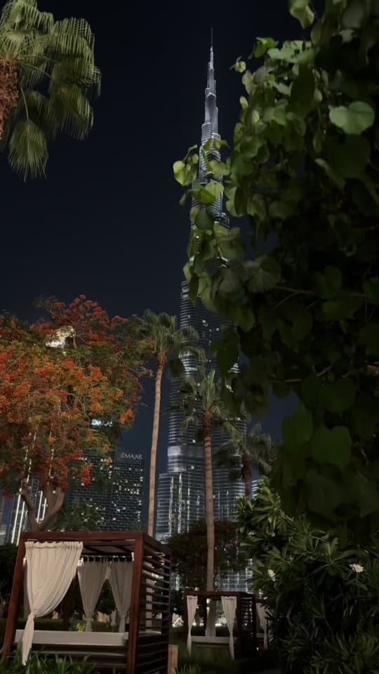 Post 1 by Saleh | صالح on TikTok (video)