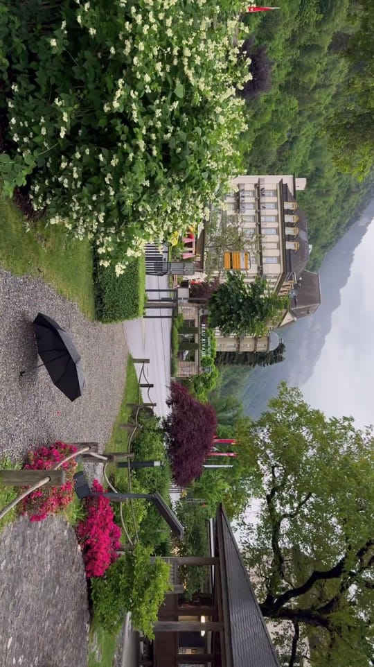 Post 5 by Saleh | صالح on TikTok (video)