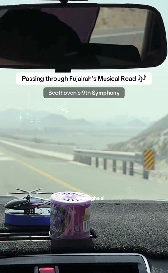 Post 7 by Ghelai 🌸 on TikTok (video)
