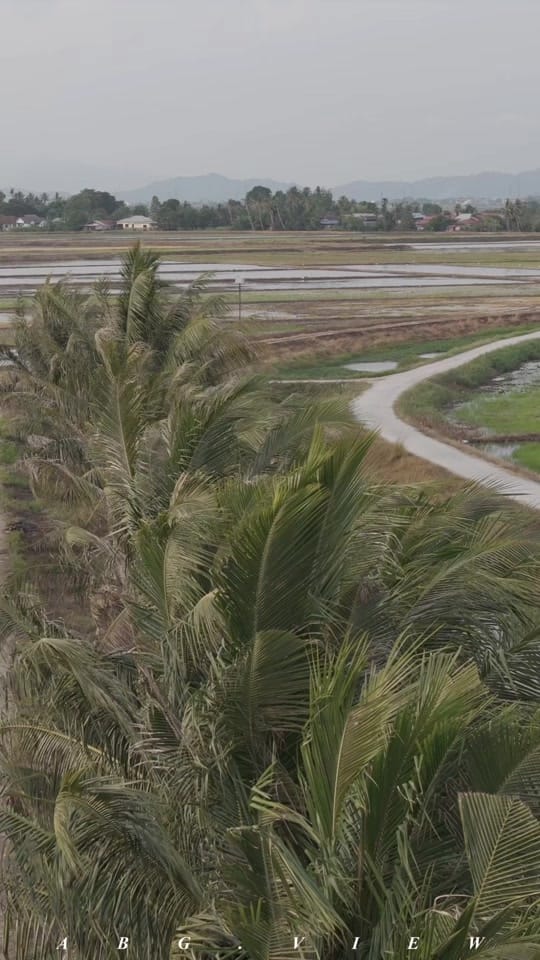 Post 10 by Abg.View on TikTok (video)