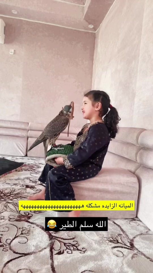Post 10 by ناصر المنصوري 🇦🇪 on TikTok (video)