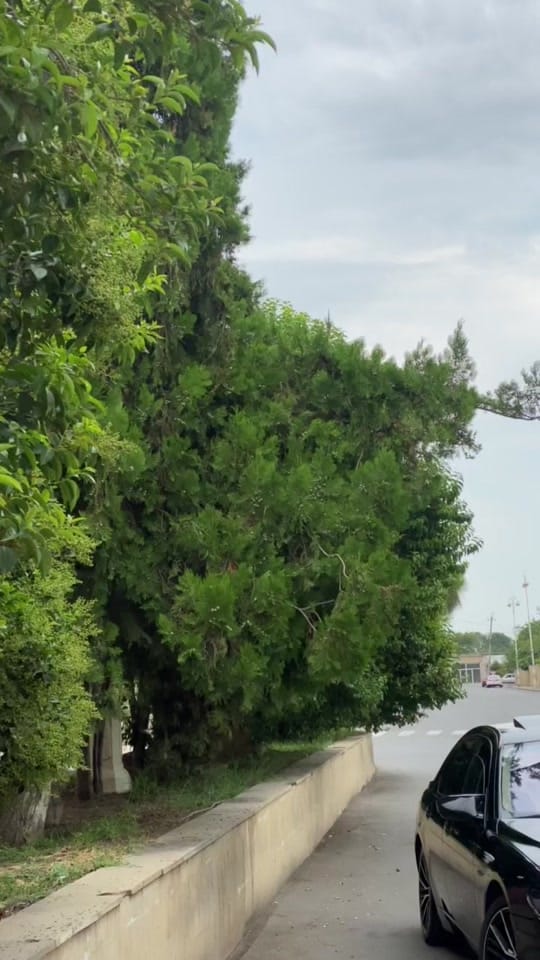 Post 4 by İtz_yaponchik on TikTok (video)