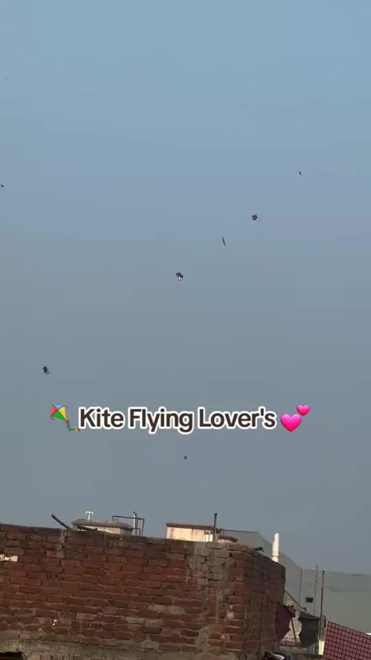 Post 6 by Kite Flying Lover on TikTok (video)