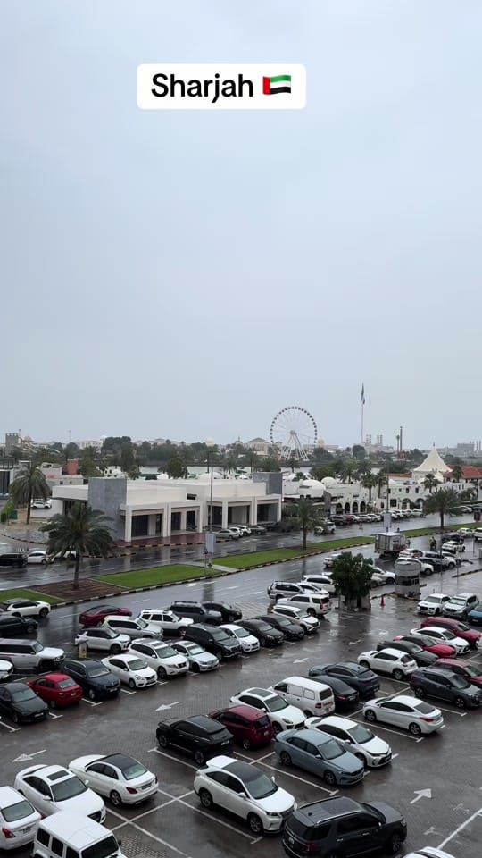 Post 7 by Mirani Najeeb on TikTok (video)