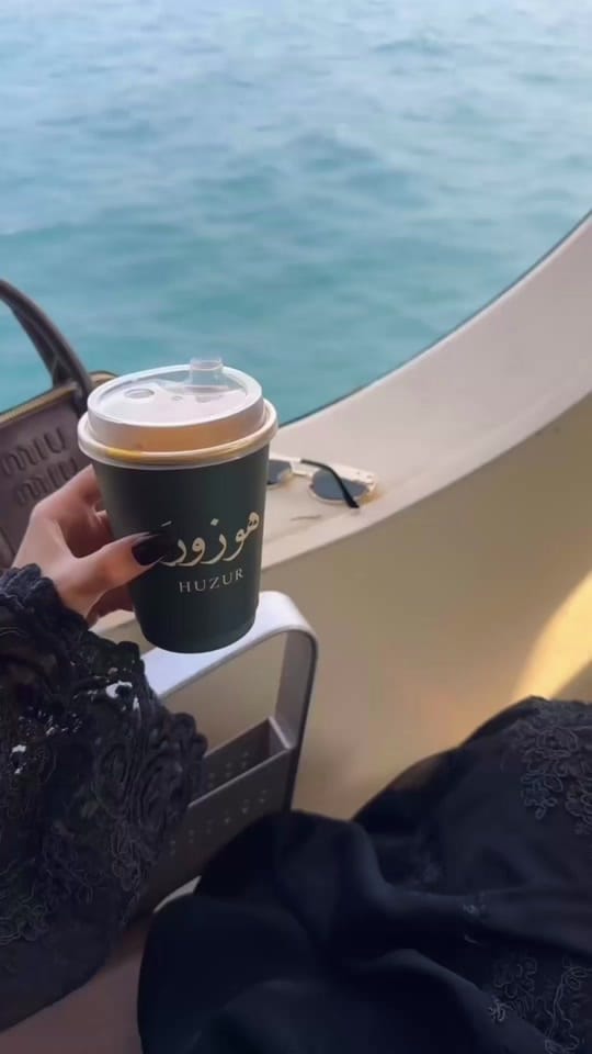 Post 3 by Haya Hamad.🇸🇦🐆 on TikTok (video)