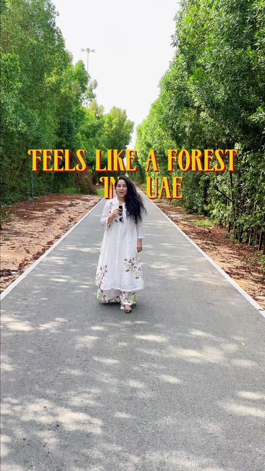 Post 7 by farah17khan on TikTok (video)