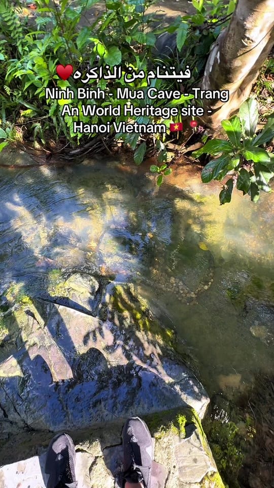 Post 1 by العكرمي El Akrami✨ on TikTok (video)