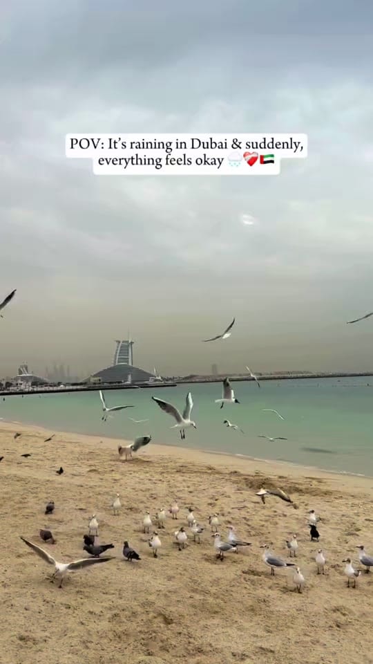 Post 7 by anushreethisside on TikTok (video)