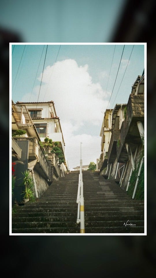 Post 7 by Noealz on TikTok (video)