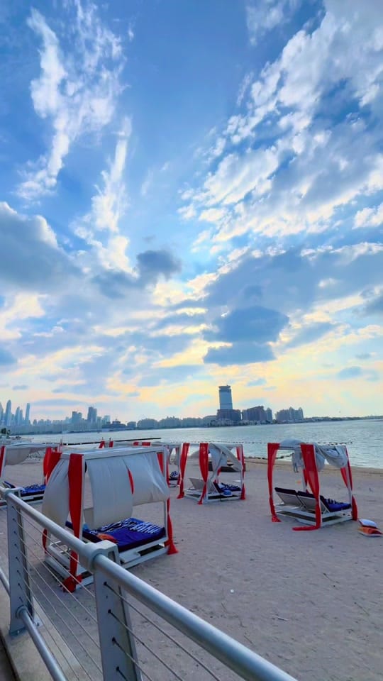 Post 4 by Amir Lodhi on TikTok (video)