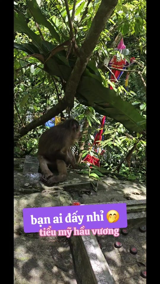 Post 6 by YannAEياني on TikTok (video)