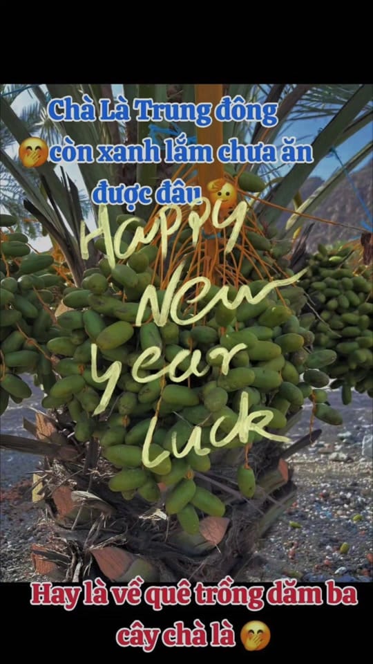 Post 3 by YannAEياني on TikTok (video)