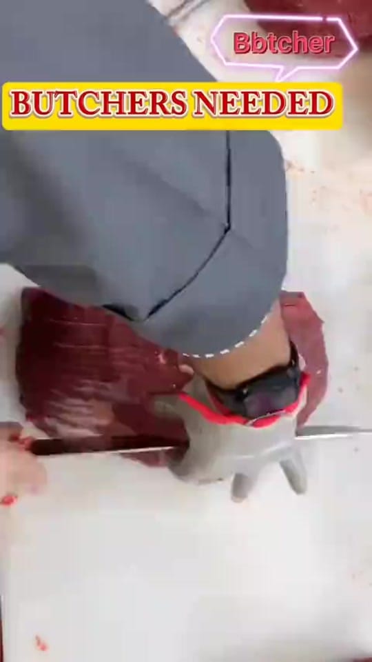 Post 1 by Sharjah Travel Agency🌍🇦🇪 on TikTok (video)