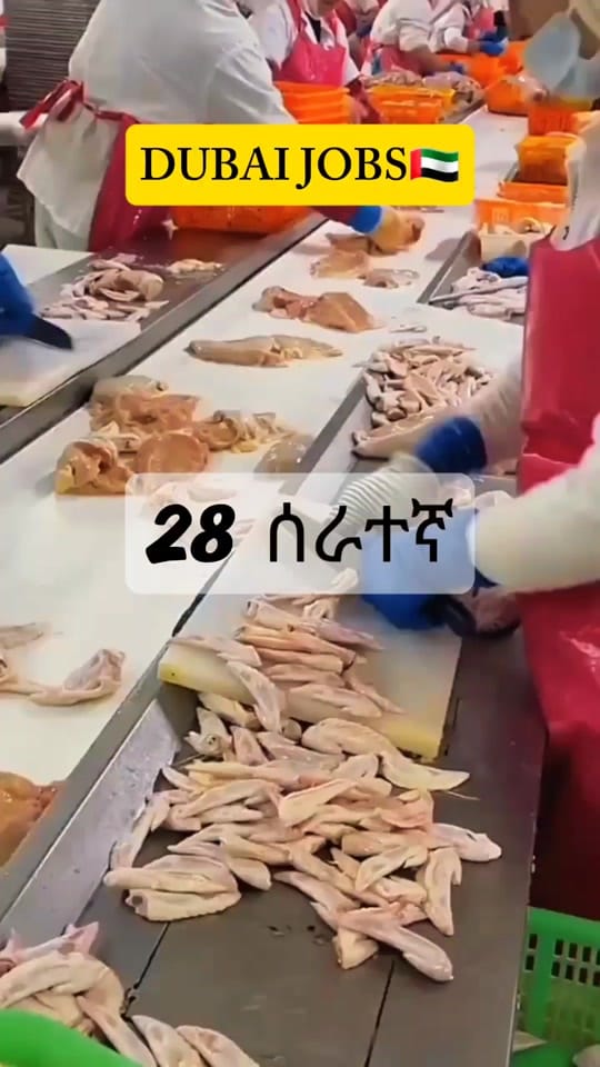 Post 8 by Sharjah Travel Agency🌍🇦🇪 on TikTok (video)