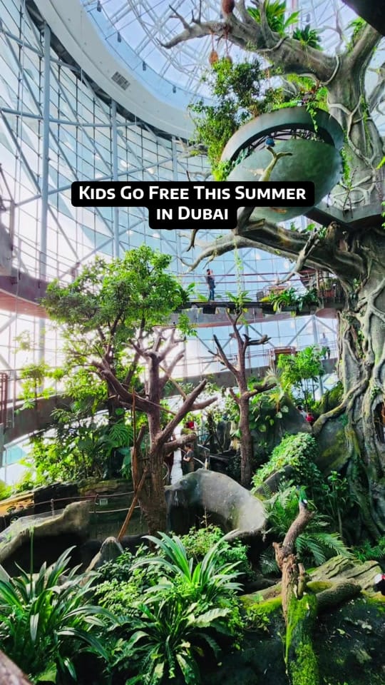 Post 5 by mommylocalspots_dubai on TikTok (video)