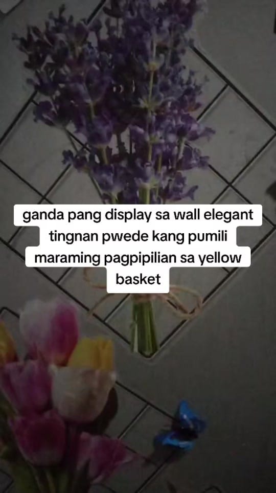 Post 1 by aquariusshop8💚💚💚 on TikTok (video)