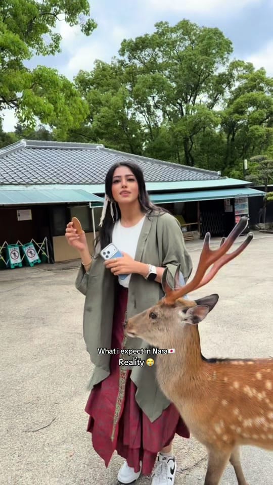 Post 2 by سو هايلة جداً🇯🇵🇪🇬 on TikTok (video)