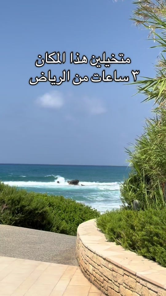Post 8 by Daily Hi on TikTok (video)