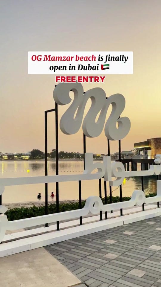 Post 9 by Safia Mansoor on TikTok (video)