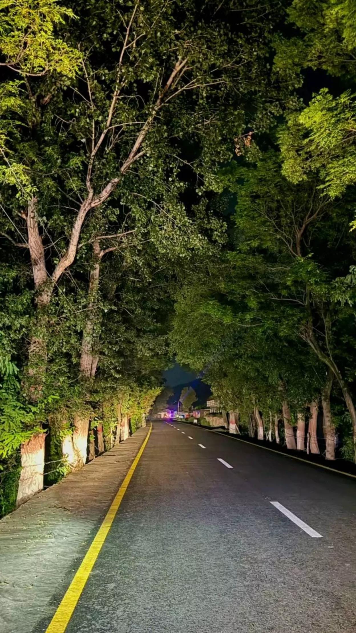 Post 8 by uaetravel3. on TikTok (video)