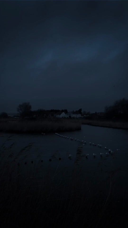 Post 3 by 𝗫𝗔𝗦𝗔𝗡𝗝𝗔𝗡𝗢𝗩 on TikTok (video)