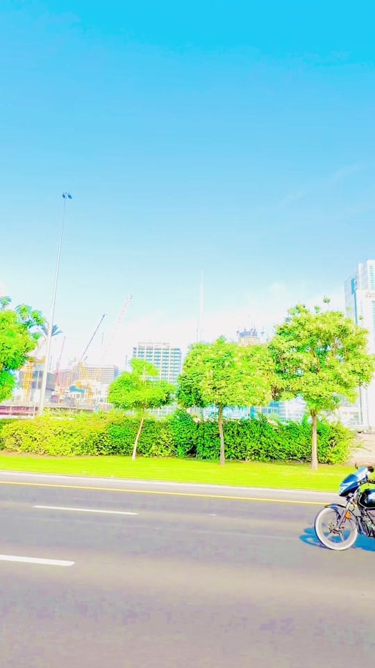 Post 7 by @Amirmalak on TikTok (video)