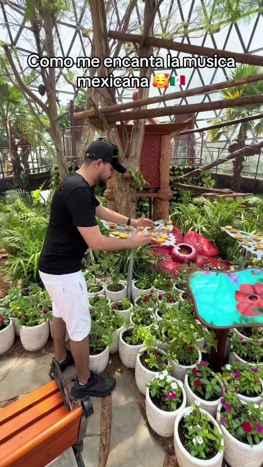 Post 1 by Hany Egipto👳‍♂️ on TikTok (video)