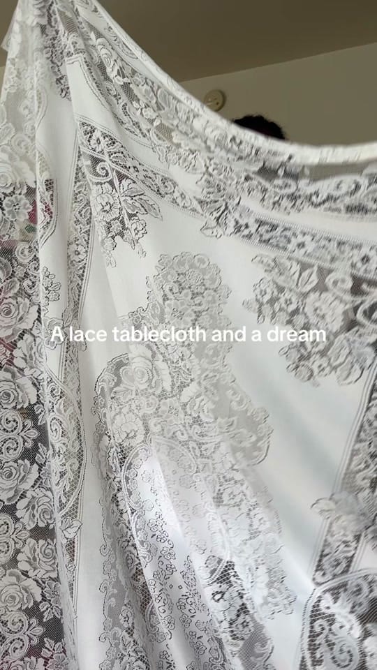 Post 4 by Pleasant Flower on TikTok (video)