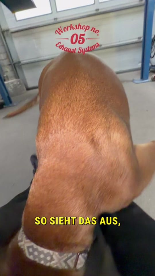 Post 4 by Workshop No.05 on TikTok (video)
