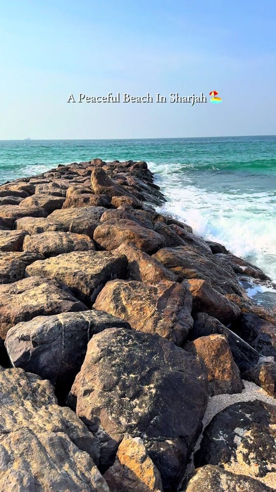 Post 3 by Foodventurres 🇦🇪 on TikTok (video)