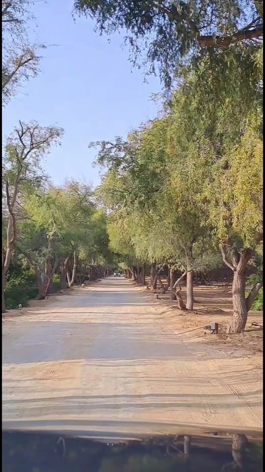 Post 9 by Ditto Raju on TikTok (video)