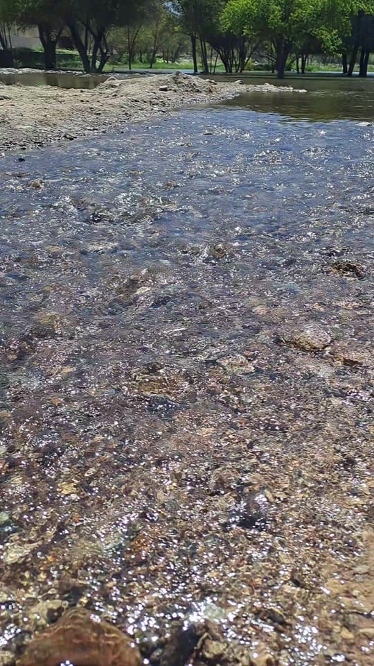 Post 7 by Ditto Raju on TikTok (video)